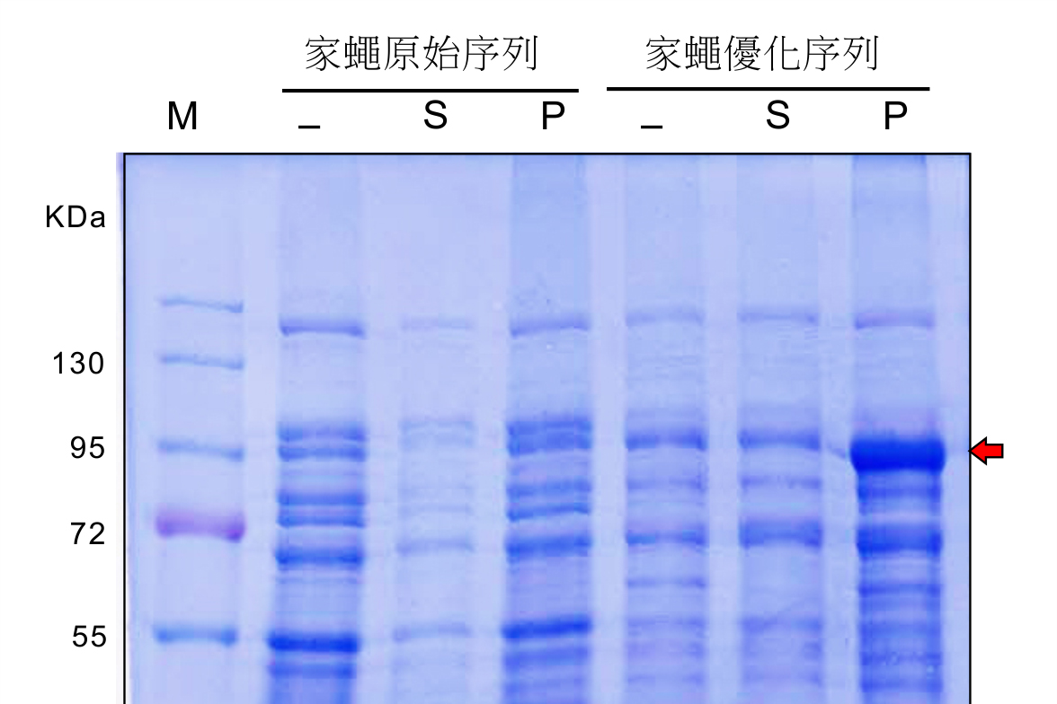 raw gene expression.jpg